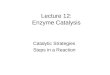 Lecture 12: Enzyme Catalysis Catalytic Strategies Steps in a Reaction