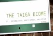 THE TAIGA BIOME BY : BRIANNA ROSS, ERRIS LOVELY, AND MIRIAM DARDEN
