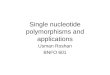 Single nucleotide polymorphisms and applications Usman Roshan BNFO 601