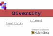 Cultural Sensitivity Diversity. Family Medical Leave Act How are people different? Race Ethnicity Gender Religion National Origin Diversity Lifestyle