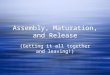 Assembly, Maturation, and Release (Getting it all together and leaving!)
