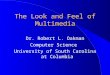 1 The Look and Feel of Multimedia Dr. Robert L. Oakman Computer Science University of South Carolina at Columbia