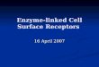 Enzyme-linked Cell Surface Receptors 16 April 2007
