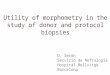 Utility of morphometry in the study of donor and protocol biopsies D. Serón Servicio de Nefrología Hospital Bellvitge Barcelona