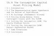 Ch.9 The Consumption Capital Asset Pricing Model 9.1 Introduction 9.2 The Representative Agent Hypothesis and Its Notion of Equilibrium 9.3 An Exchange