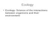 Ecology Ecology- Science of the interactions between organisms and their environment