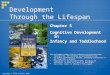 Copyright © Allyn & Bacon 2007 Development Through the Lifespan Chapter 5 Cognitive Development in Infancy and Toddlerhood This multimedia product and