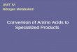 Conversion of Amino Acids to Specialized Products UNIT IV: Nitrogen Metabolism