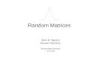 Random Matrices Hieu D. Nguyen Rowan University Rowan Math Seminar 12-10-03
