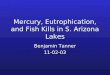 Mercury, Eutrophication, and Fish Kills in S. Arizona Lakes Benjamin Tanner 11-02-03
