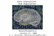 Gene Expression And Regulation Bioinformatics January 11, 2006 D. A. McClellan (david_mcclellan@byu.edu)