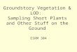 Groundstory Vegetation & LOD: Sampling Short Plants and Other Stuff on the Ground ESRM 304