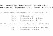 1.Oxygen-Binding Proteins 1a. Globins 1b. Hemerythrins 1c. Hemocyanins 2.Protein catalysis (PIMT) 1a. Drosophila PIMT 1a. Pombe PIMT Relationship between
