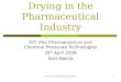 Drying in the Pharmaceutical Industry1 DIT- Msc Pharmaceutical and Chemical Processes Technologies 28 th April 2009 Sara Baeza