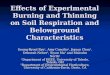 Effects of Experimental Burning and Thinning on Soil Respiration and Belowground Characteristics Soung-Ryoul Ryu 1, Amy Concilio 1, Jiquan Chen 1, Deborah