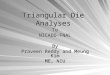 Triangular Die Analyses ToNICADD-FNALBy Praveen Reddy and Meung Kim ME, NIU