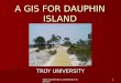 TROY SURVEYING & GEOMATICS SCIENCES 1 A GIS FOR DAUPHIN ISLAND TROY UNIVERSITY
