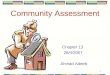 1 Community Assessment Chapter 13 28/4/2007 Ahmad Adeeb