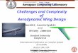 Copyright 2004, K. Leoviriyakit and A. Jameson Challenges and Complexity of Aerodynamic Wing Design Kasidit Leoviriyakit and Antony Jameson Stanford University