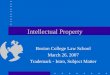 Intellectual Property Boston College Law School March 26, 2007 Trademark - Intro, Subject Matter