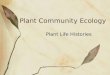 Plant Community Ecology Plant Life Histories. Life History- A plant’s schedule of birth, mortality, and growth Life Cycles: Annuals, Biennials, Perennials