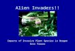 Alien Invaders!! Impacts of Invasive Plant Species in Oregon Erin Tirone