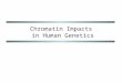 Chromatin Impacts in Human Genetics. Chromatin-mediated influences Gametic (parental) imprinting Regulation of gene expression Developmental programming