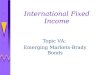 International Fixed Income Topic VA: Emerging Markets-Brady Bonds