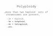 Polyploidy …more than two haploid sets of chromosomes are present, –2n = diploid, –3n = triploid, –4n = tetraploid, –etc