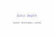 Data Depth Jason Burrowes-Jones Presentation Outline Background Review What is known Project Objectives Present Work and Results Future Goals