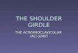 THE SHOULDER GIRDLE THE ACROMIOCLAVICULAR (AC) JOINT