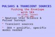 PULSARS & TRANSIENT SOURCES Pushing the Envelope with SKA Jim Cordes, Cornell 10 July 2001  Neutron Star Science & Pulsar Surveys  Transient sources