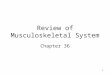 1 Review of Musculoskeletal System Chapter 36. 2 Skeletal System Function: –Protection –Hematopoiesis –Mineral homeostasis Calcium Phosphorus Carbonate