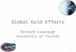 1 Global Grid Efforts Richard Cavanaugh University of Florida