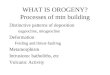WHAT IS OROGENY? Processes of mtn building Distinctive patterns of deposition eugeocline, miogeocline Deformation Folding and thrust-faulting Metamorphism