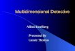 Multidimensional Detective Alfred Inselberg Presented By Cassie Thomas
