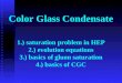 Color Glass Condensate 1.) saturation problem in HEP 2.) evolution equations 3.) basics of gluon saturation 4.) basics of CGC