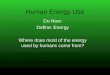 Human Energy Use Do Now: Define: Energy Where does most of the energy used by humans come from?