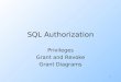 1 SQL Authorization Privileges Grant and Revoke Grant Diagrams