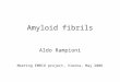 Amyloid fibrils Aldo Rampioni Meeting EMBIO project, Vienna, May 2006