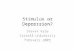 Stimulus or Depression? Steven Kyle Cornell University February 2009