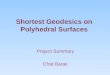 Shortest Geodesics on Polyhedral Surfaces Project Summary Efrat Barak