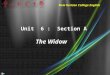 New Horizon College English Unit 6 : Section A The Widow