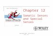 Copyright 2010, John Wiley & Sons, Inc. Chapter 12 Somatic Senses and Special Senses