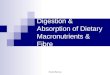 Hanadi Baeissa Digestion & Absorption of Dietary Macronutrients & Fibre