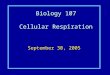 Biology 107 Cellular Respiration September 30, 2005