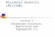 Microbial Genetics (Micr340) Lecture 1 Chromosome Structure, Replication and Segregation (I)