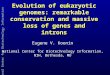 National Center for Biotechnology Information Evolution of eukaryotic genomes: remarkable conservation and massive loss of genes and introns Eugene V