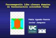 Ferromagnetic like closure domains in ferroelectric ultrathin films Pablo Aguado-Puente Javier Junquera