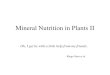Mineral Nutrition in Plants II Oh Oh, I get by with a little help from my friends. - Ringo Starr et al